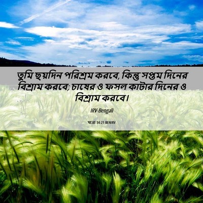 Picture 06 - যাত্ৰা 34:21 BENIRV - তুমি ছয়দিন - Bible Verse Picture