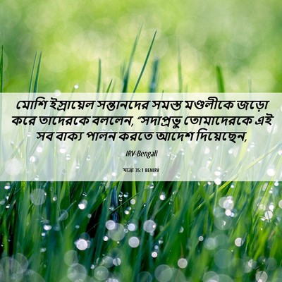 Picture 06 - যাত্ৰা 35:1 BENIRV - মোশি ইস্রায়েল - Bible Verse Picture
