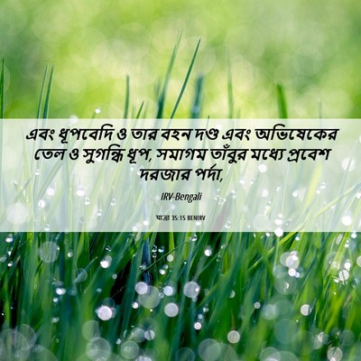 Picture 06 - যাত্ৰা 35:15 BENIRV - এবং ধূপবেদি ও তার - Bible Verse Picture