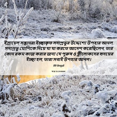 Picture 06 - যাত্ৰা 35:29 BENIRV - ইস্রায়েল - Bible Verse Picture