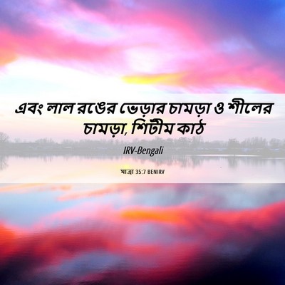 Picture 06 - যাত্ৰা 35:7 BENIRV - এবং লাল রঙের - Bible Verse Picture