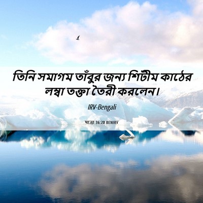 Picture 06 - যাত্ৰা 36:20 BENIRV - তিনি সমাগম তাঁবুর - Bible Verse Picture