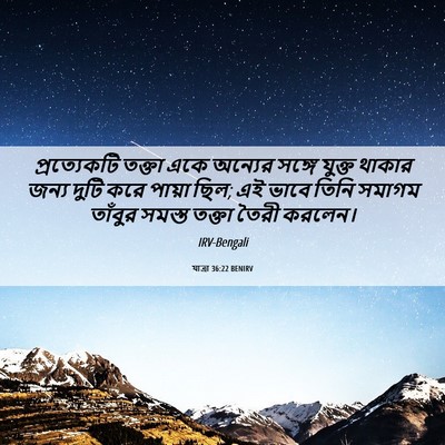 Picture 06 - যাত্ৰা 36:22 BENIRV - প্রত্যেকটি তক্তা - Bible Verse Picture