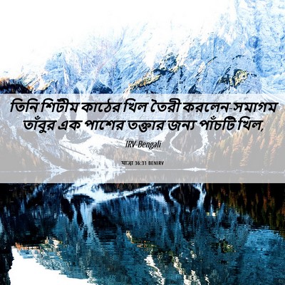 Picture 06 - যাত্ৰা 36:31 BENIRV - তিনি শিটীম কাঠের - Bible Verse Picture