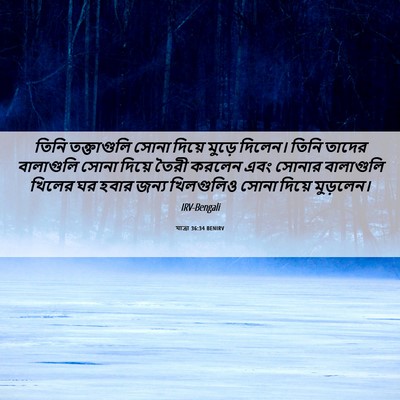 Picture 06 - যাত্ৰা 36:34 BENIRV - তিনি তক্তাগুলি - Bible Verse Picture