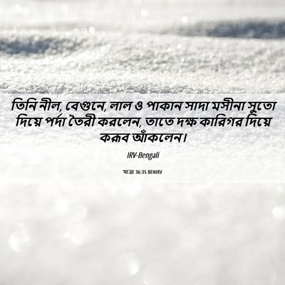 Picture 06 - যাত্ৰা 36:35 BENIRV - তিনি নীল, বেগুনে, - Bible Verse Picture