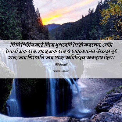 Picture 06 - যাত্ৰা 37:25 BENIRV - তিনি শিটীম কাঠ - Bible Verse Picture