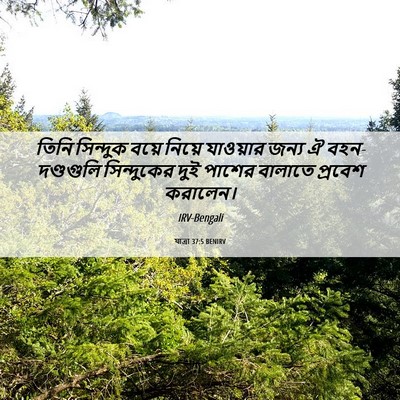 Picture 06 - যাত্ৰা 37:5 BENIRV - তিনি সিন্দুক বয়ে - Bible Verse Picture