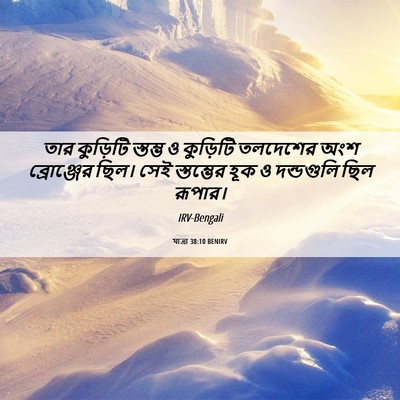 Picture 06 - যাত্ৰা 38:10 BENIRV - তার কুড়িটি - Bible Verse Picture