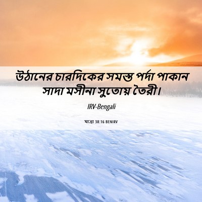 Picture 06 - যাত্ৰা 38:16 BENIRV - উঠানের চারদিকের - Bible Verse Picture