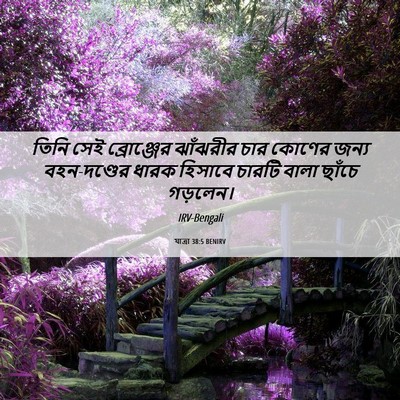 Picture 06 - যাত্ৰা 38:5 BENIRV - তিনি সেই - Bible Verse Picture