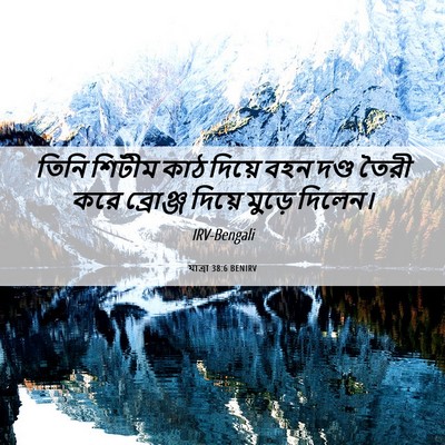 Picture 06 - যাত্ৰা 38:6 BENIRV - তিনি শিটীম কাঠ - Bible Verse Picture