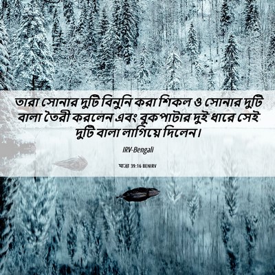 Picture 06 - যাত্ৰা 39:16 BENIRV - তারা সোনার দুটি - Bible Verse Picture