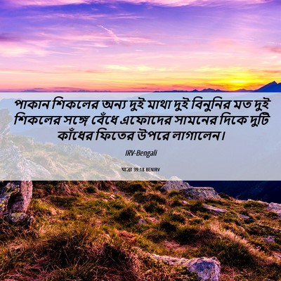 Picture 06 - যাত্ৰা 39:18 BENIRV - পাকান শিকলের অন্য - Bible Verse Picture