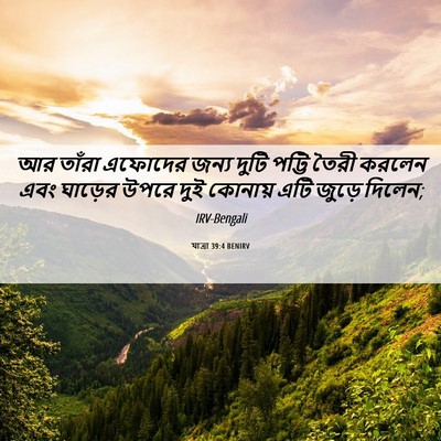 Picture 06 - যাত্ৰা 39:4 BENIRV - আর তাঁরা এফোদের - Bible Verse Picture