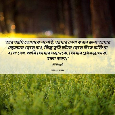 Picture 06 - যাত্ৰা 4:23 BENIRV - আর আমি তোমাকে - Bible Verse Picture