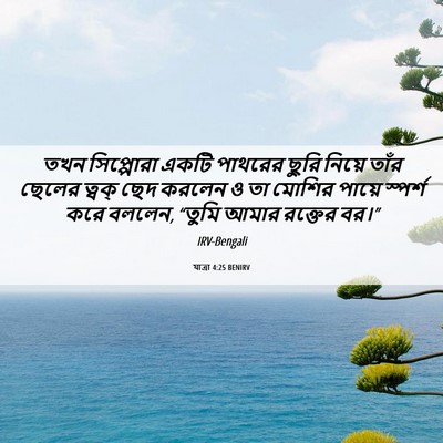Picture 06 - যাত্ৰা 4:25 BENIRV - তখন সিপ্পোরা একটি - Bible Verse Picture