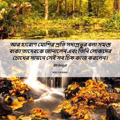 Picture 06 - যাত্ৰা 4:30 BENIRV - আর হারোণ মোশির - Bible Verse Picture