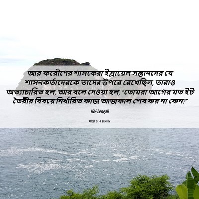 Picture 06 - যাত্ৰা 5:14 BENIRV - আর ফরৌণের শাসকেরা - Bible Verse Picture