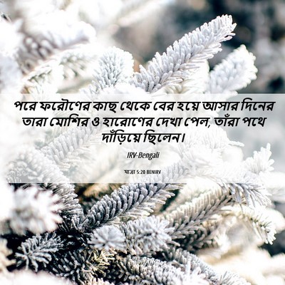 Picture 06 - যাত্ৰা 5:20 BENIRV - পরে ফরৌণের কাছ - Bible Verse Picture