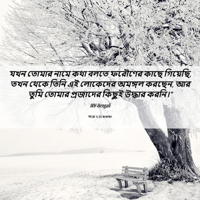 Picture 06 - যাত্ৰা 5:23 BENIRV - যখন তোমার নামে কথা - Bible Verse Picture