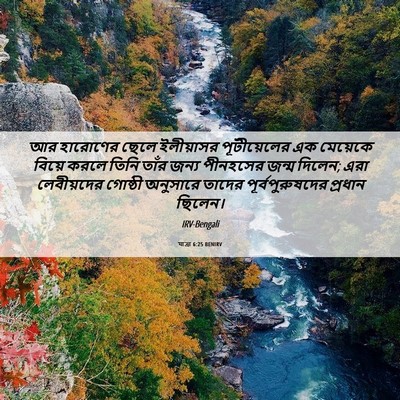Picture 06 - যাত্ৰা 6:25 BENIRV - আর হারোণের ছেলে - Bible Verse Picture