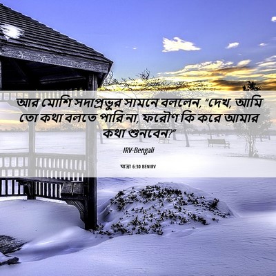 Picture 06 - যাত্ৰা 6:30 BENIRV - আর মোশি সদাপ্রভুর - Bible Verse Picture