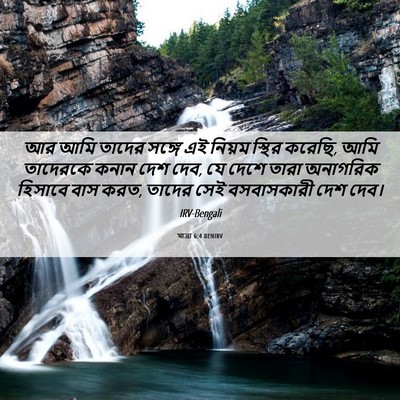 Picture 06 - যাত্ৰা 6:4 BENIRV - আর আমি তাদের সঙ্গে - Bible Verse Picture