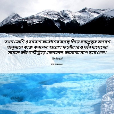 Picture 06 - যাত্ৰা 7:10 BENIRV - তখন মোশি ও হারোণ - Bible Verse Picture