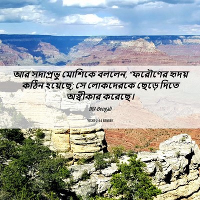 Picture 06 - যাত্ৰা 7:14 BENIRV - আর সদাপ্রভু - Bible Verse Picture