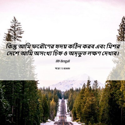 Picture 06 - যাত্ৰা 7:3 BENIRV - কিন্তু আমি ফরৌণের - Bible Verse Picture
