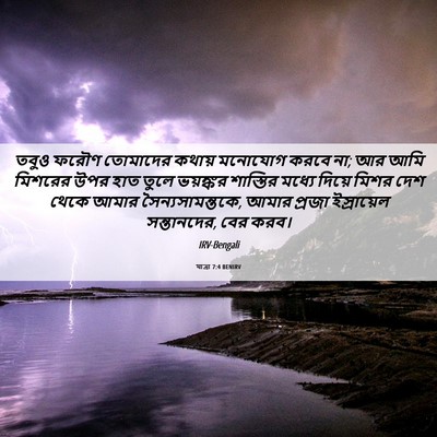 Picture 06 - যাত্ৰা 7:4 BENIRV - তবুও ফরৌণ তোমাদের - Bible Verse Picture