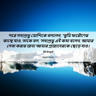 Picture 06 - যাত্ৰা 8:1 BENIRV - পরে সদাপ্রভু - Bible Verse Picture