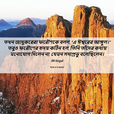 Picture 06 - যাত্ৰা 8:19 BENIRV - তখন জাদুকরেরা - Bible Verse Picture