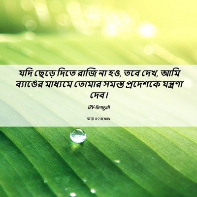 Picture 06 - যাত্ৰা 8:2 BENIRV - যদি ছেড়ে দিতে - Bible Verse Picture