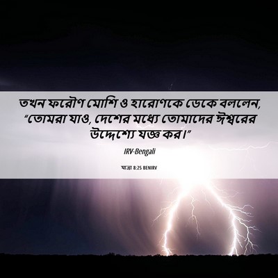 Picture 06 - যাত্ৰা 8:25 BENIRV - তখন ফরৌণ মোশি ও - Bible Verse Picture