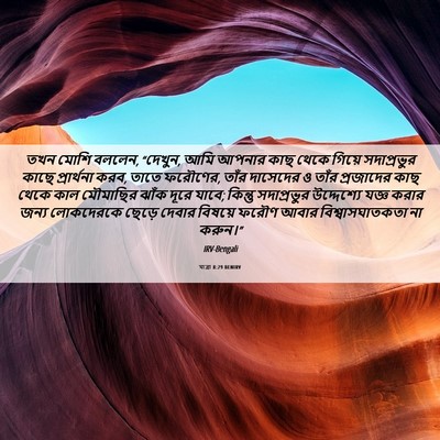 Picture 06 - যাত্ৰা 8:29 BENIRV - তখন মোশি বললেন, - Bible Verse Picture