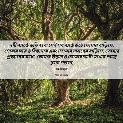 Picture 06 - যাত্ৰা 8:3 BENIRV - নদী ব্যাঙে ভর্তি - Bible Verse Picture