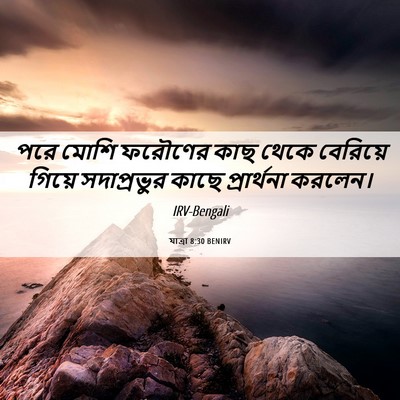 Picture 06 - যাত্ৰা 8:30 BENIRV - পরে মোশি ফরৌণের - Bible Verse Picture