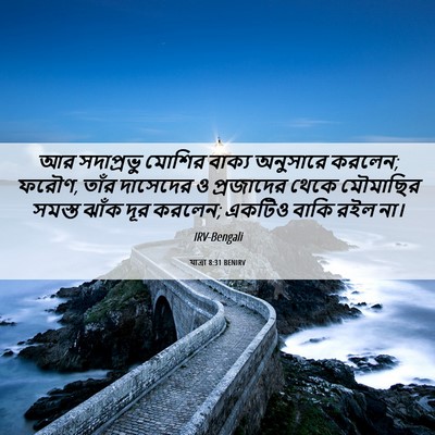 Picture 06 - যাত্ৰা 8:31 BENIRV - আর সদাপ্রভু মোশির - Bible Verse Picture