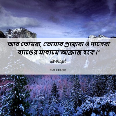 Picture 06 - যাত্ৰা 8:4 BENIRV - আর তোমরা, তোমার - Bible Verse Picture