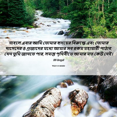 Picture 06 - যাত্ৰা 9:14 BENIRV - নাহলে এবার আমি - Bible Verse Picture