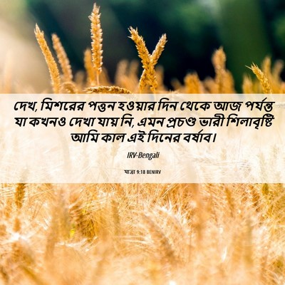Picture 06 - যাত্ৰা 9:18 BENIRV - দেখ, মিশরের পত্তন - Bible Verse Picture