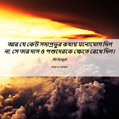 Picture 06 - যাত্ৰা 9:21 BENIRV - আর যে কেউ - Bible Verse Picture