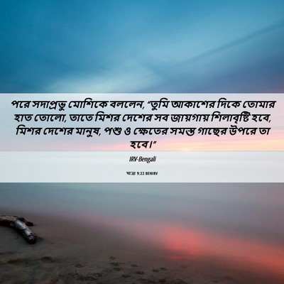 Picture 06 - যাত্ৰা 9:22 BENIRV - পরে সদাপ্রভু - Bible Verse Picture