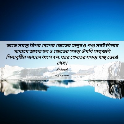Picture 06 - যাত্ৰা 9:25 BENIRV - তাতে সমস্ত মিশর - Bible Verse Picture