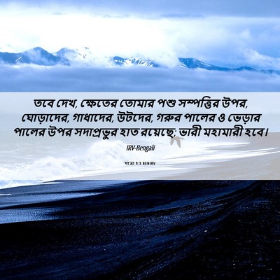 Picture 06 - যাত্ৰা 9:3 BENIRV - তবে দেখ, ক্ষেতের - Bible Verse Picture