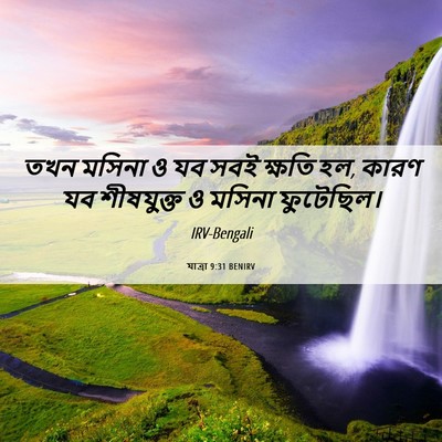 Picture 06 - যাত্ৰা 9:31 BENIRV - তখন মসিনা ও যব সবই - Bible Verse Picture