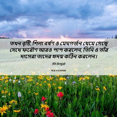 Picture 06 - যাত্ৰা 9:34 BENIRV - তখন বৃষ্টি, শিলা - Bible Verse Picture