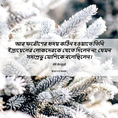 Picture 06 - যাত্ৰা 9:35 BENIRV - আর ফরৌণের হৃদয় - Bible Verse Picture